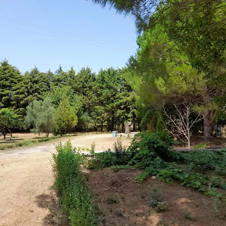 Lemontree * Кассиопи