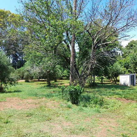 Lemontree Апартаменты Кассиопи