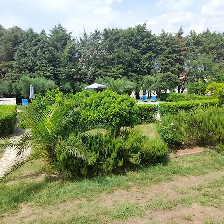 Апартаменты Lemontree