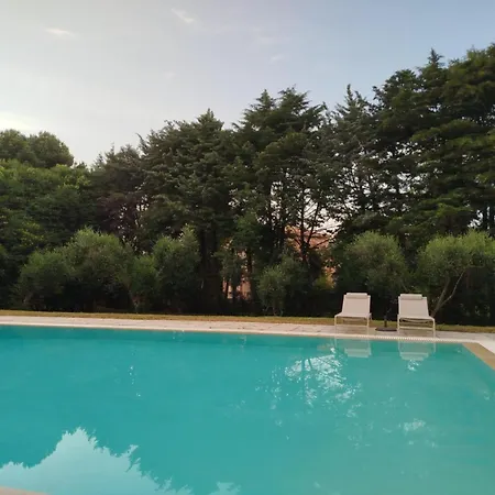 Lemontree Апартаменты Кассиопи