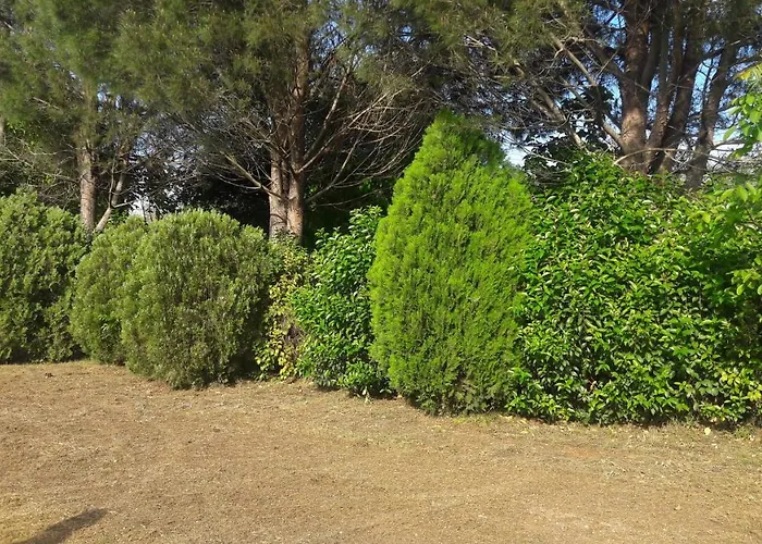 Lejlighed Lemontree *
