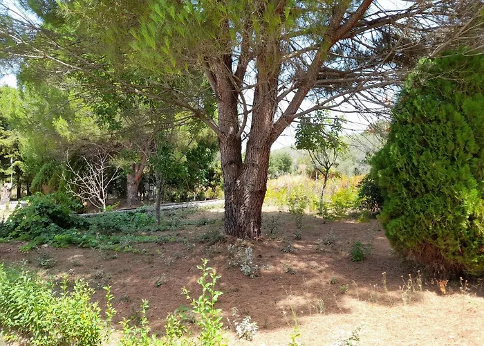 Lejlighed Lemontree