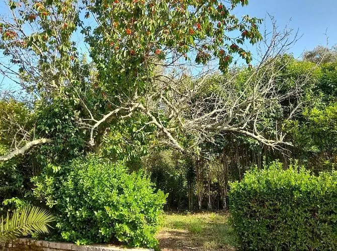 Lejlighed Lemontree Kassiopi
