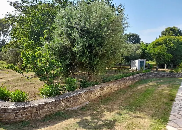 Lemontree Lejlighed Kassiopi