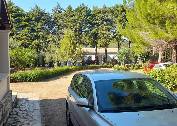Lemontree
