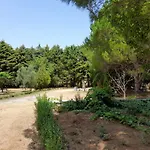 Lemontree * Kassiopi