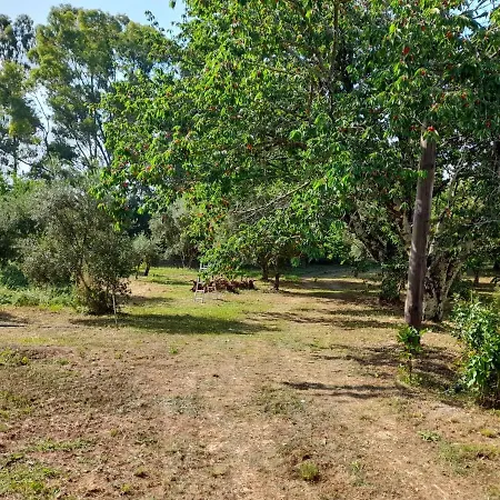 Lemontree Appartamento *