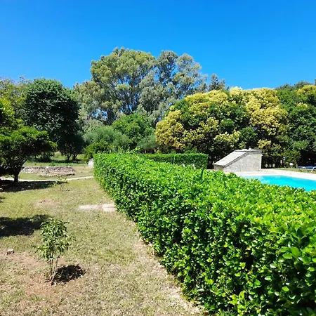 Lemontree Appartamento