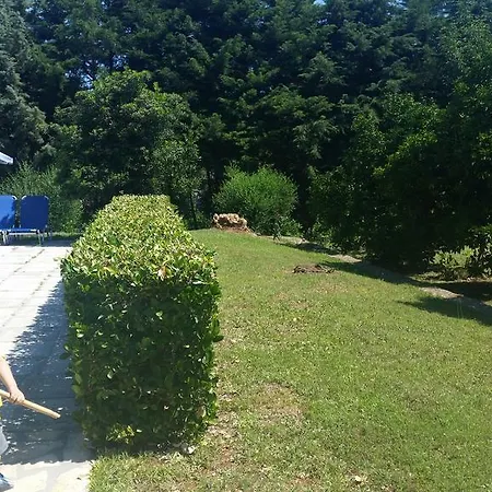 Appartamento Lemontree