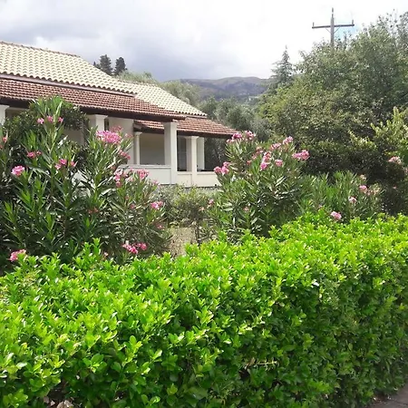 Lemontree * Kassiopi