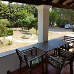 Lemontree