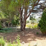 Apartmán Lemontree