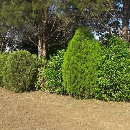 Apartman Lemontree *