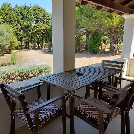 Lemontree كاسيوبي
