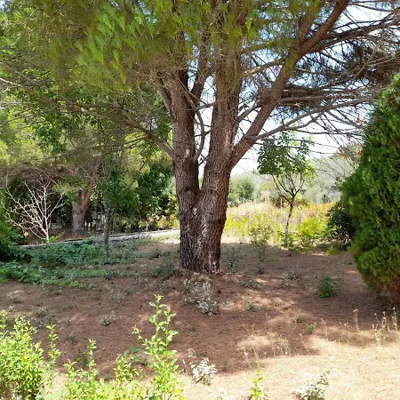 Apartamento Lemontree