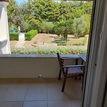 Lemontree * Kasziópi