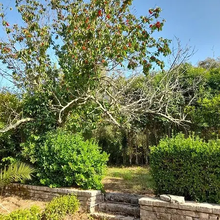 Apartamento Lemontree Kassiopi