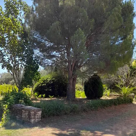 Apartmán Lemontree *