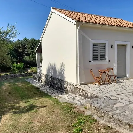 Lemontree * 카시오피