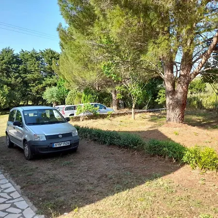 Lemontree קאסיופי