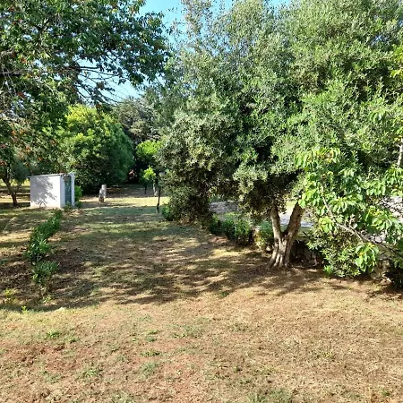 아파트 Lemontree *