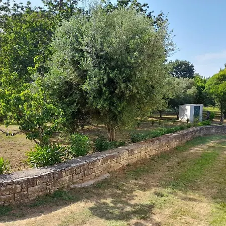 Lemontree 아파트 카시오피