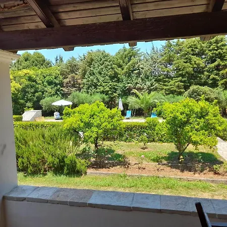 Lemontree 아파트 카시오피