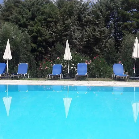 Lemontree * 카시오피