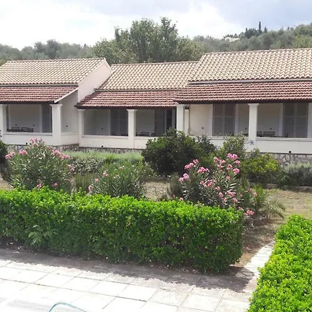 Lemontree * 카시오피